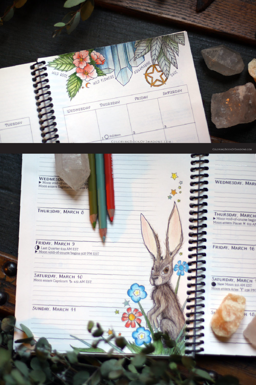 Coloring March Witchcraft Correspondences: sage, aquamarine, a hare, and Mars.