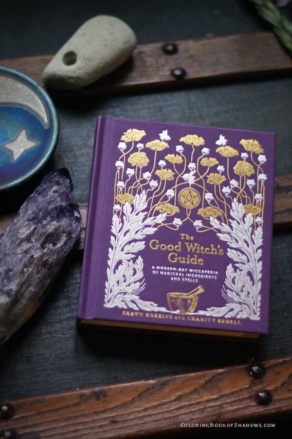 A really fun witchcraft book! The Good Witch's Guide by Shawn Robbins and Charity Bedell. Check out this list of more favorite books, spell books, and other witchy things to read.