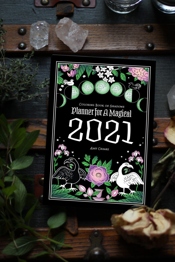 Coloring Book of Shadows Planner for a Magical 2021