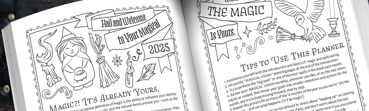 Sneak Preview: Planner for a Magical 2025