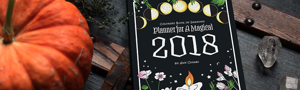 Planner for a Magical 2018