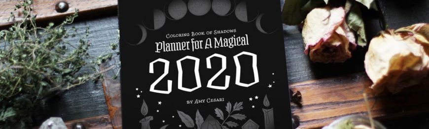 Coloring Book of Shadows 2020 Planner Sketch Preview