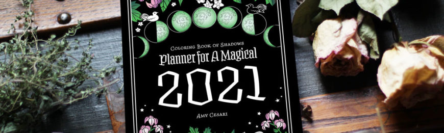 Coloring Book of Shadows Planner for a Magical 2021