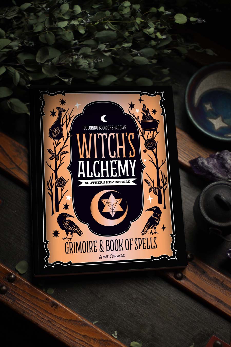 Witch S Alchemy 2021 Planner Re Release Coloring Book Of Shadows
