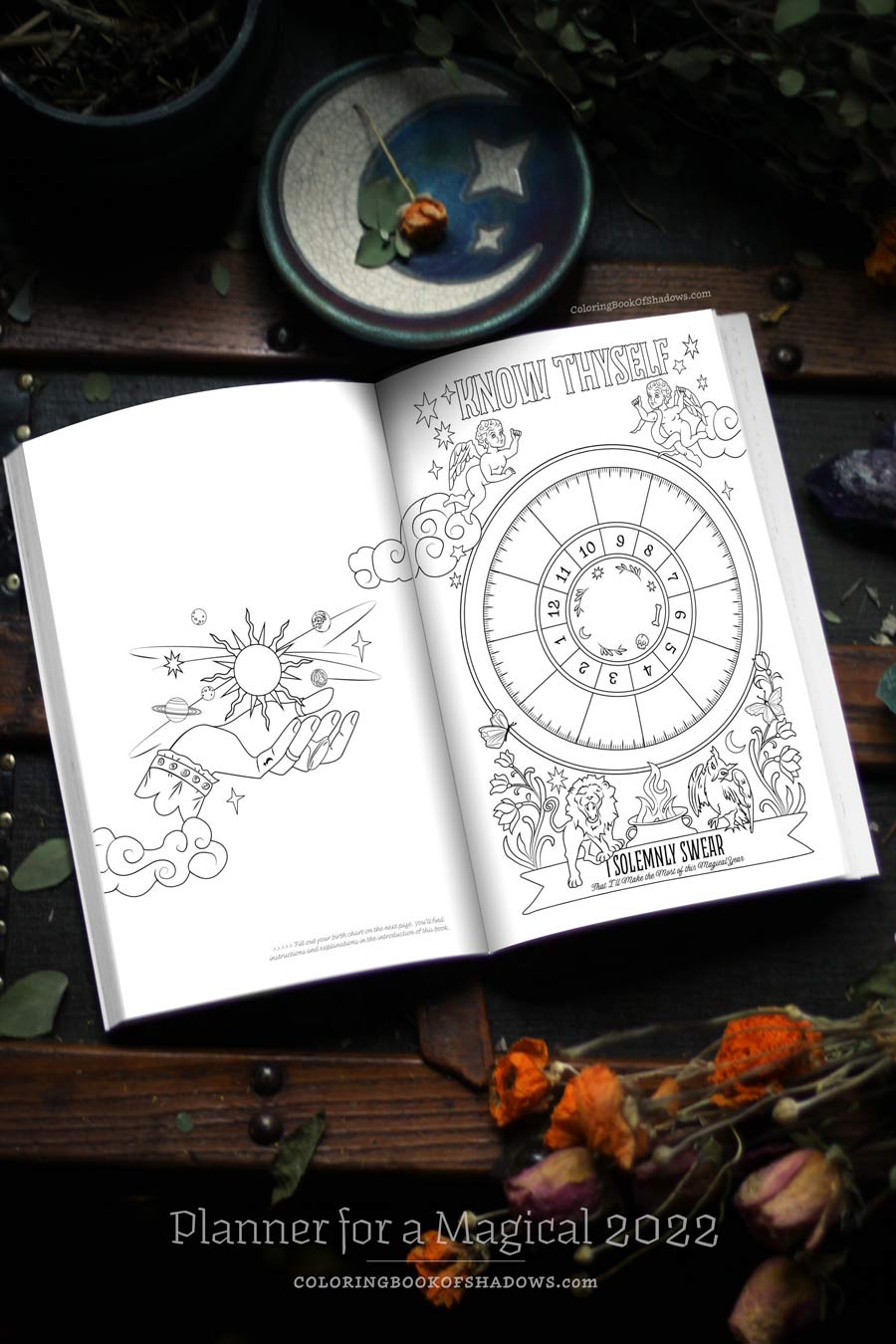 Coloring Book of Shadows: Planner for a Magical 2022