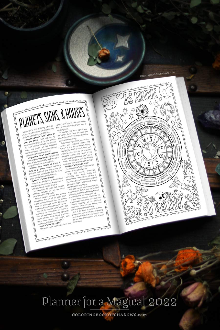 Coloring Book of Shadows: Planner for a Magical 2022