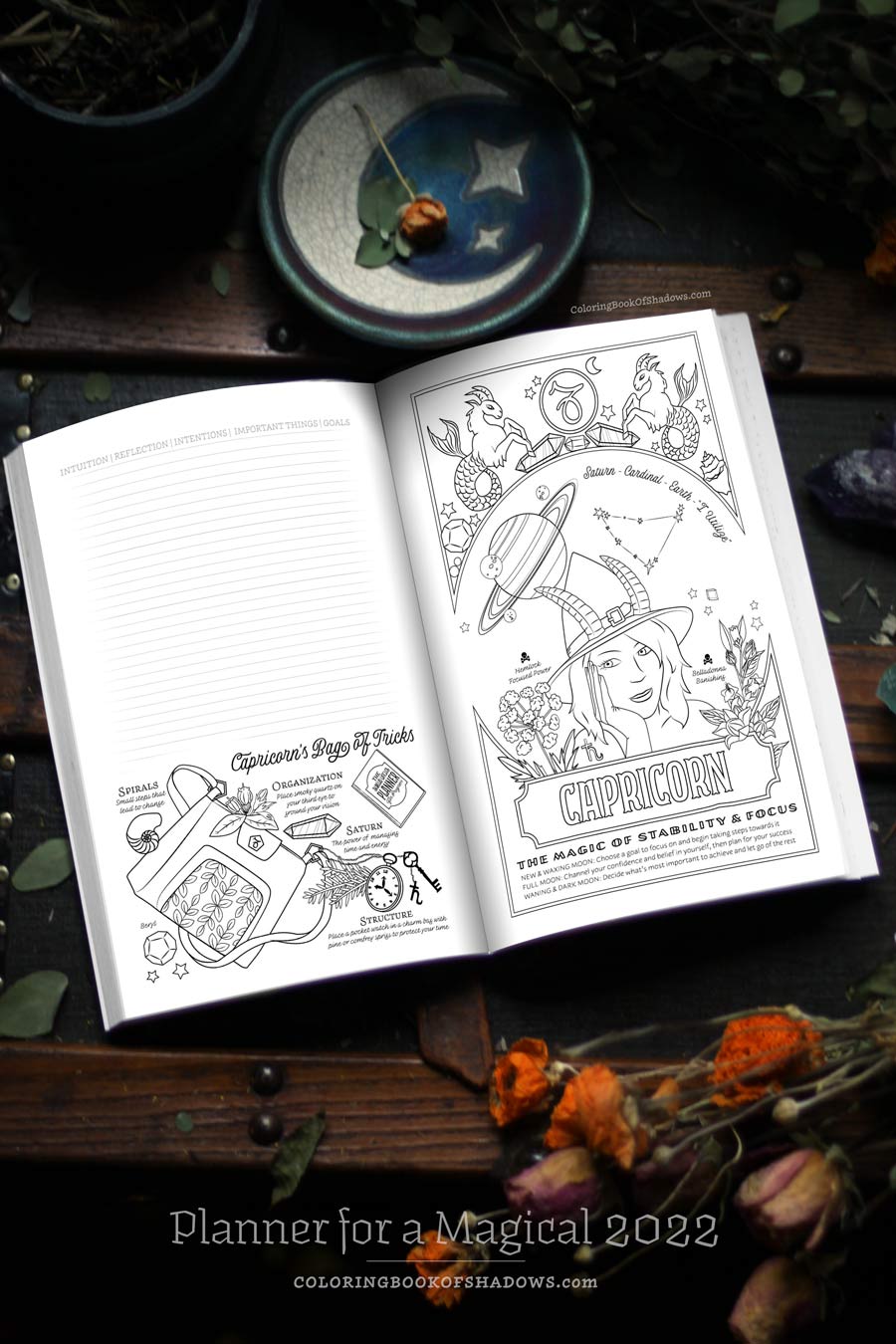 Food & Pantry Planner Coloring Book