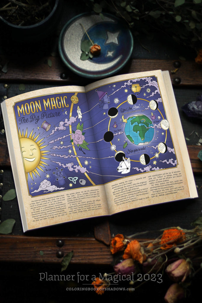 Books — The Peculiar Manicule in 2023 Chess books, Book of circus, Coloring books