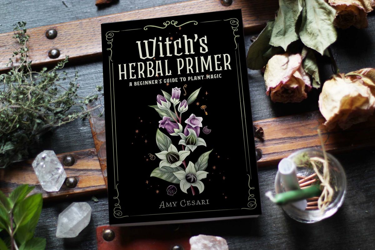 Witch's Herbal Primer: A Beginner's Guide to the Magic of Plants