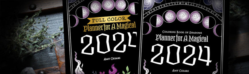Planner for a Magical 2024: Full Color: Cesari, Amy, Cesari, Amy