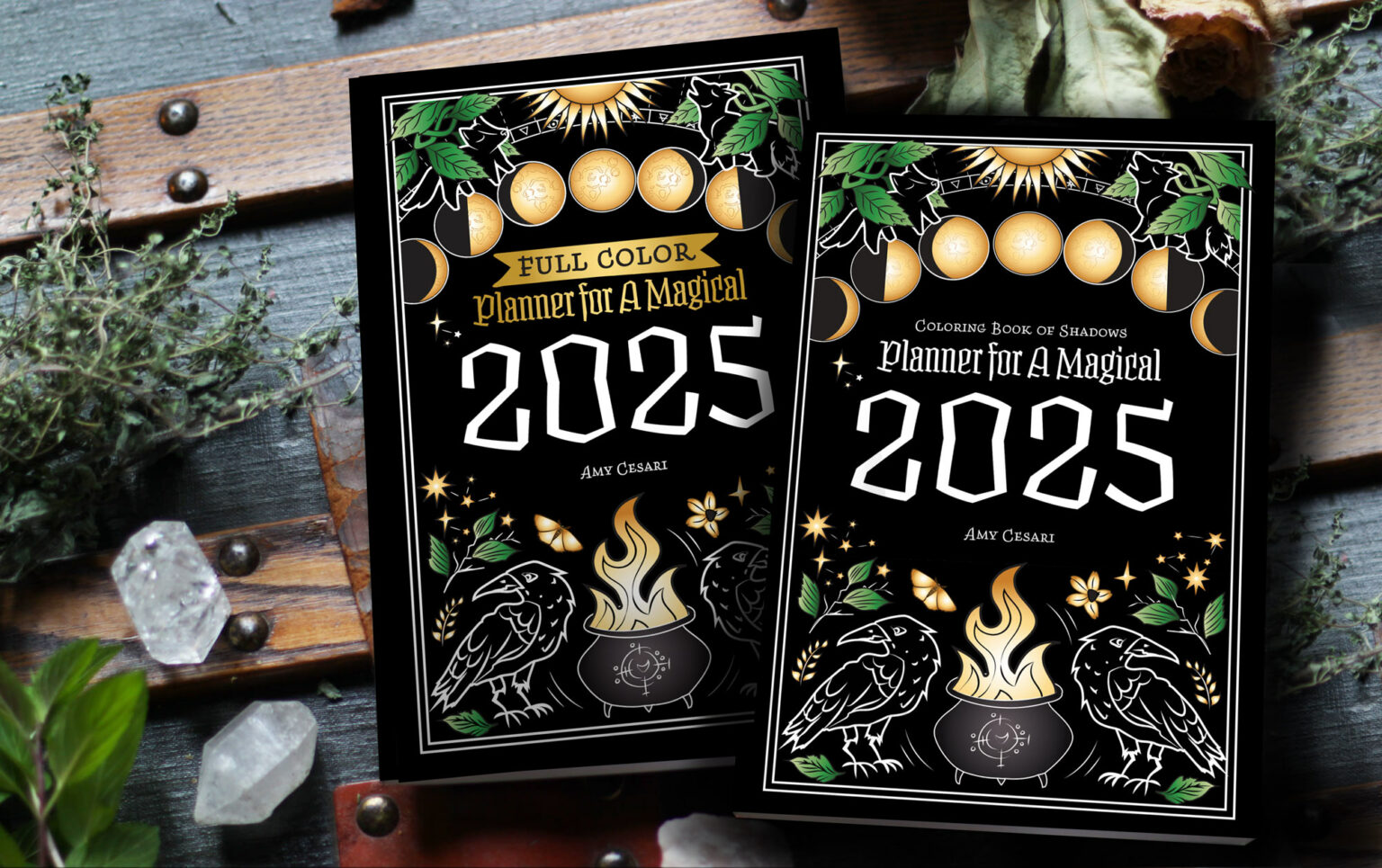 Planner for a Magical 2025 is available now! Coloring Book of Shadows